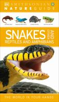 Snakes_and_other_reptiles_and_amphibians