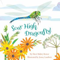 Soar_high__dragonfly_