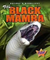 The_black_mamba