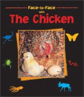 Face-to-face_with_the_chicken