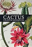 Selecci__n_de_cactus_y_plantas_suculentas