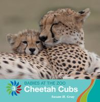 Cheetah_cubs