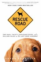 Rescue_road