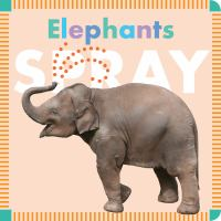 Elephants_spray