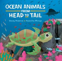 Ocean_animals_from_head_to_tail