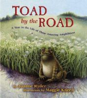 Toad by the road