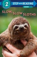 Slow__slow_sloths