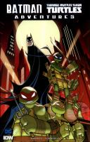 Batman/Teenage Mutant Ninja Turtles adventures
