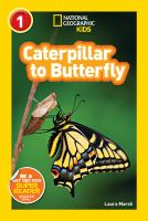 Caterpillar_to_butterfly