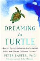 Dreaming_in_turtle