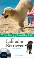 Labrador_retriever