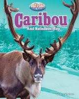 Caribou_and_reindeer__too