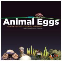 Animal_eggs