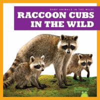 Raccoon_cubs_in_the_wild