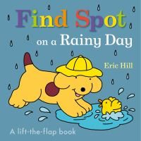 Find_Spot_on_a_rainy_day