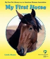 My_first_horse