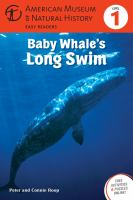 Baby_whale_s_long_swim