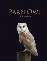 Barn_owl
